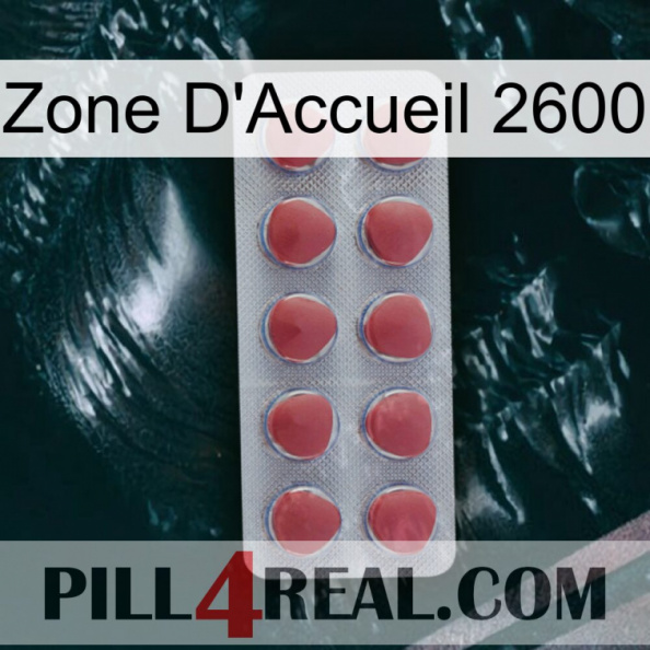Home Zone 2600 18.jpg